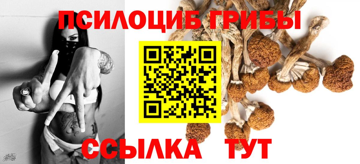 Геленджик  Галлюциногенные грибы MAGIC MUSHROOMS  Вход с VPN 